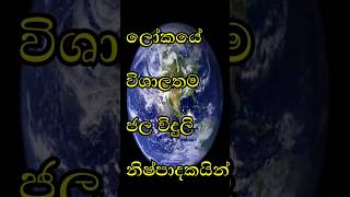 2022 ලොව විශාලතම ජල විදුලි නිෂ්පාදකයින් |Top 10 Hydroelectric Countries in the World 2022💧⚡#shorts