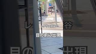 【終電後246】『レクサス渋谷がど真ん中突如、出現！』取材拒否 全店制覇  メガアイスカフェラテ永遠と深夜大量にお替わりがぶ飲みしてみた 0728