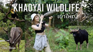 EP18: Khaoyai Wild Life ตลุยป่าเขาใหญ่ส่องสัตว์ในธรรมชาติ (ท่องเที่ยวเชิงอนุรักษ์)