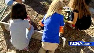 How Will State Budget Shortfall Affect Education?