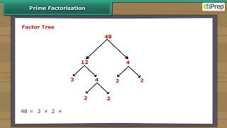 Prime Factorisation | Playing With Numbers | Math | Class 6 | iPrep