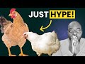Don't Fall For the Hype! Chicken Farming In Zimbabwe!