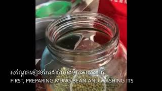 How to sprout mung beans in 3 days/ របៀបបណ្តុះសណ្តែកបណ្តុះរយៈពេល៣ថ្ងៃ