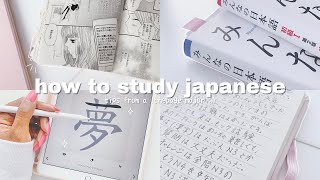 how i study japanese- tips from an actual language major | THE ULTIMATE GUIDE