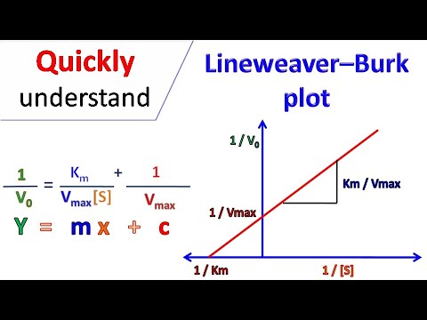 What are the values of Vmax and Km in the absence of inhibitor?