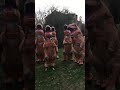 T Rex herd trying to Macarena