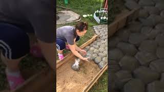 how make a walkway follow me ❤️@#shorts