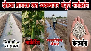 दोडका लागवड खत व्यवस्थापन आणि बेसल डोस|ridge gourd farming|गिलकी तोरई नेनुआ नेनुआ-दोडका की खेती