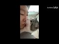 反抗强吻猫猫！