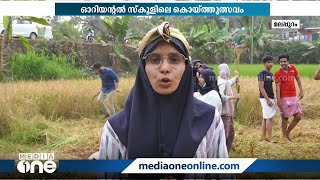 ആഘോഷമായി മലപ്പുറം അരീക്കോട് സുല്ലമുസ്സലാം ഓറിയന്‍റല്‍ ഹയർ സെക്കൻഡറി സ്കൂളിലെ കൊയ്ത്തുത്സവം