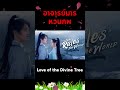 🎐 อาจารย์มารหวนภพ love of the divine tree 🌿 เติ้งเหวย 💗 เซี่ยงหานจือ