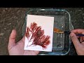 Collecting and pressing seaweed