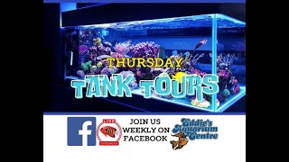 March 14th: Eddie's Aquarium Centre Tank Tours!