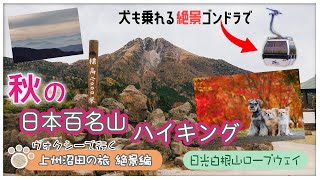 【上州沼田への旅・絶景編】日本百名山「日光白根山」の麓にある絶景ロープウェイへ！｜愛犬と乗れる快適ゴンドラでハイキング＆紅葉巡り【群馬県・日光白根山ロープウェイ・丸沼高原ゴンドラ】