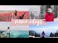 Welcome to Nena Vlogs // Channel Trailer