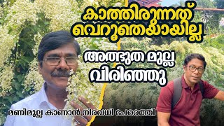 എന്തൊരു ഭംഗി ഒന്നും പറയാനില്ല വീടു മുഴുവൻ പൂവ്