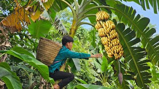 FULL VIDEO: 100 Days Fruit Harvest, Melon, Logan, Toad Fruit, Frog - Forest Life