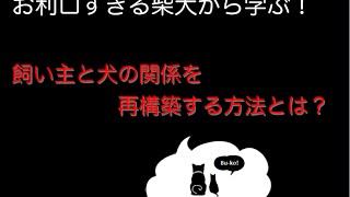 【最新しつけ講座】飼い主と犬の関係を再構築する方法とは？