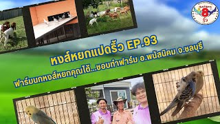 หงส์หยกแปดริ้ว EP.93 ฟาร์มนกหงส์หยกคุณโต้...ชอบทำฟาร์ม อ.พนัสนิคม จ.ชลบุรี