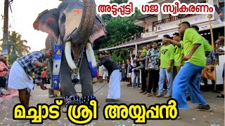 മച്ചാട് ശ്രീ അയ്യപ്പൻ  സ്വീകരണം MACHAD SREE AYYAPPAN