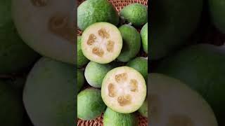 Feijoa - Il Potere della Frutta per la Nostra Salute #frutasyverduras #natural #serratiopeptidase