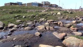 Storm Hunters: The most northern Tim Horton's in the world