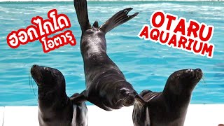 พิพิธภัณท์สัตว์น้ำโอตารุ Otaru Aquarium Hokkaido | WithThawat