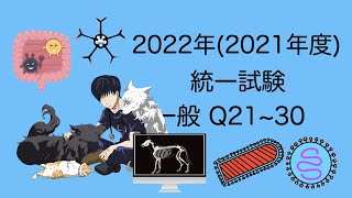 2022一般Q21~30 愛玩動物看護師国家試験対策