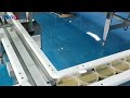 6 line petri dish filling machine for 90mm dishes with follow up filling system