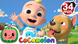 JJ Song + More Nursery Rhymes & Kids Songs - CoComelon