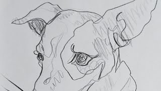 Dibujo con pocas líneas N°2 [Un  Perro 🐕)