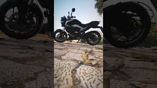 #dominar #bajaj #bike #bikelover #shortvideo #shorts #bihari #sportbike #entertainment #viralshorts