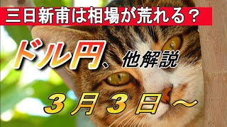 【TAKA FX】今年は円高なのか？　ドル円他各通貨の環境認識解説。3月3日(月)～