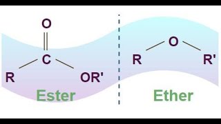 DIFFERENCE BETWEEN ESTERS AND ETHERS @jhwconcepts711