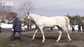 イーストスタッド種牡馬展示会2015-全映像