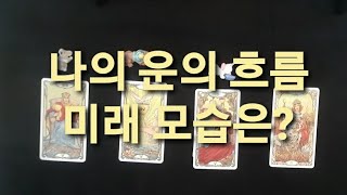 [타로리딩] 나의 운의 흐름은? 미래를 보고 옵시다.