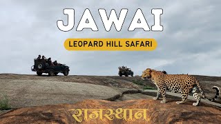 Jawai Leopard Hill Safari (Rajasthan) | Granite Rocks | Jawai Bandh (Dam) | Leopard Sighting