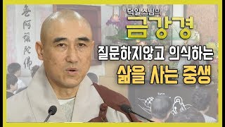 질문하지않고 의식하는 삶을 사는 중생 [덕일스님의 금강경 6회]