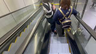 Schindler Escalators at ZARA at Town Center at Disney Springs - Lake Buena Vista FL