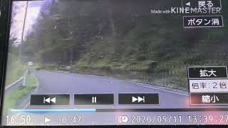 車を運転中熊に遭遇した‼️