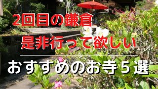 【おすすめ　2回目の鎌倉是非行って欲しいお寺5選】鶴岡八幡宮だけではない、2回目以降のおすすめのお寺