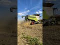 #claas Harvest #shorts #farming #tractor #automobile #agriculture #technology #machine #satisfying