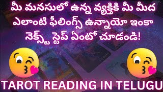 tarot reading in telugu | ❤️🔥మీ మనసులో ఉన్న వ్యక్తి ఫీలింగ్స్ ఇంకా నెక్స్ట్ మూవ్ ఏంటో చుడండి!