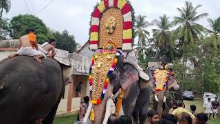 Super View of Elephants @ Village.