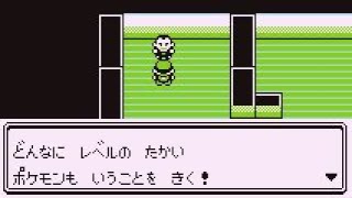 ポケモンのレベルが100を超えると