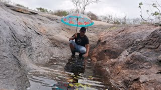 a seca acabou choveu e juntou água pros animais da caatinga ⛈️🌵