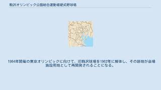 駒沢オリンピック公園総合運動場硬式野球場