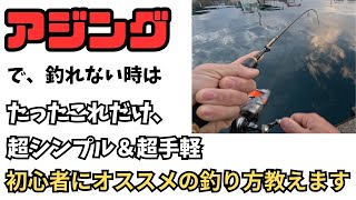 シンプルなのに簡単に釣れる。ジグヘッドにオキアミの威力　アジング初心者必見