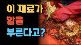 김장 재료에 발암물질? 절대 쓰면 안되는 이것 #김장 #절임배추 #건강정보 #건강