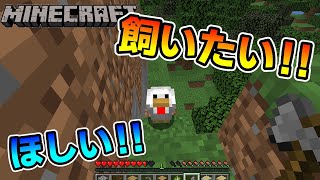 【新人Vtuber】アヒルほしいぃぃぃぃぃ囲め囲めー＼( 'ω')／【Minecraft】